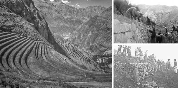 Imagen izquierda: Andenes, terrazas escalonadas construidas en las laderas de las montañas andinas y rellenadas con tierra de cultivo. | Imagen derecha: Comunidades campesinas construyendo andenes (técnica agrícola heredada de los incas).
