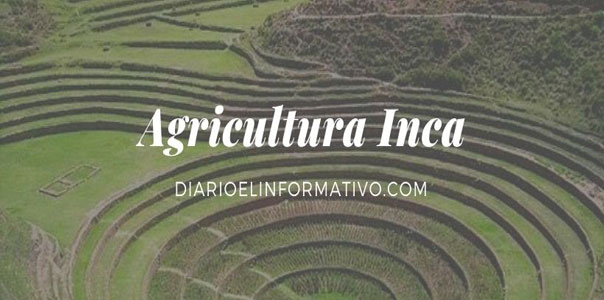 Agricultura Inca