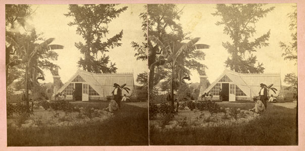Invernadero climatizado, o "invernadero", en Macon, Georgia. 1877 | Fuente: Biblioteca Pública Digital de América.