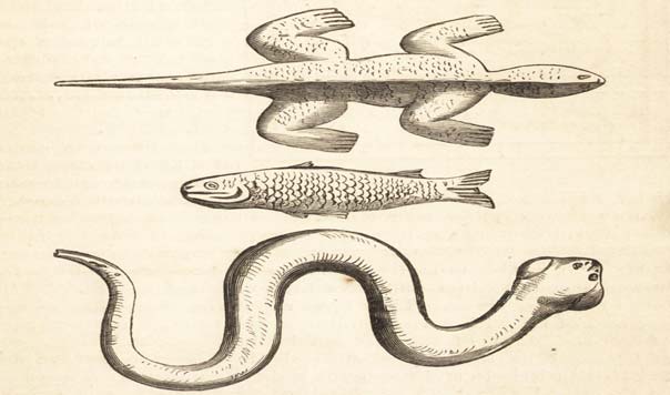 Orfebrería Chimú: Objetos de metal lagarto de plata, pez y serpiente.